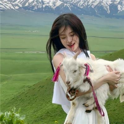 神奇宝贝剧场版：梦幻与波导的勇者路卡利欧